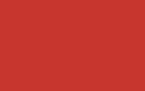 Краска для сколов во флаконе с кисточкой MITSUBISHI TRUCKS, цвет LOGO - RED P032C