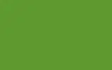 Краска для сколов во флаконе с кисточкой MITSUBISHI TRUCKS, цвет TH8 - YELLOW GREEN