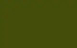 Краска для сколов во флаконе с кисточкой NISSAN, цвет 626 - SPRING GREEN