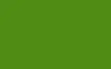 Краска для сколов во флаконе с кисточкой NISSAN, цвет DK8 - GREEN DUTCH PTT