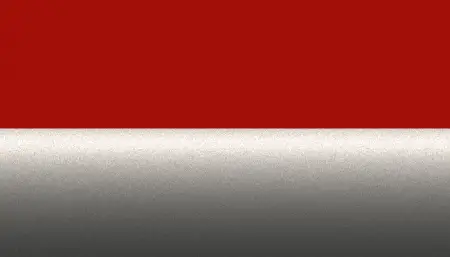 Краска для сколов во флаконе с кисточкой NISSAN, цвет 13A - 2-х цветное покрытие