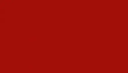 Краска для сколов во флаконе с кисточкой NISSAN, цвет 17A - ROJO