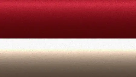 Ремкомплект для ремонта глубоких сколов и царапин NISSAN, цвет 2L3 - 2-х цветное покрытие