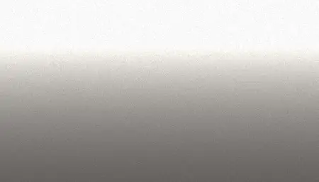 Краска для сколов во флаконе с кисточкой NISSAN, цвет 365 - BROWNISH/JET SILVER