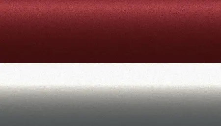 Ремкомплект для ремонта глубоких сколов и царапин NISSAN, цвет 494 - 2-х цветное покрытие