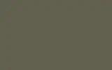 Краска для сколов во флаконе с кисточкой OPEL, цвет 860K - TARRAGON GREEN