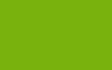 Краска для сколов во флаконе с кисточкой OPEL, цвет 308MM - SIGNAL GREEN/GRUEN