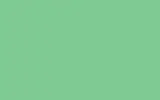Краска для сколов во флаконе с кисточкой OPEL, цвет 305ZZ - PASTELLGRUEN/PASTEL GREEN