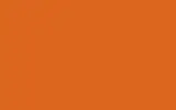 Краска для сколов во флаконе с кисточкой OPEL, цвет 509VV (D) - BRILLANT/SIGNALORANGE