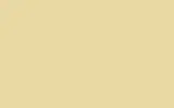 Краска для сколов во флаконе с кисточкой OPEL, цвет 442CC - NEPAL YELLOW/GELB