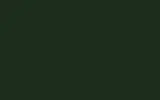 Краска для сколов во флаконе с кисточкой OPEL, цвет 46L - BRITISH RACING GREEN/GRUEN