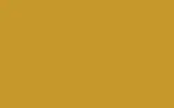 Краска для сколов во флаконе с кисточкой OPEL, цвет 53U - SAFRANGELB/SAFFRON YELLOW