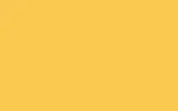 Краска для сколов во флаконе с кисточкой OPEL, цвет 51 - DAYTONA YELLOW