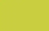 Краска для сколов во флаконе с кисточкой OPEL, цвет 870 - LEMON GREEN/GRUEN