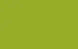 Краска для сколов во флаконе с кисточкой OPEL, цвет 30Y - MAMBAGRUEN/SPRING GREEN