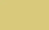 Краска для сколов во флаконе с кисточкой OPEL, цвет GN6 - LIMONENGELB/LIMESTONE/BRIMSTONE