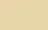 Краска для сколов во флаконе с кисточкой RENAULT, цвет 340 - CREME/CREMA