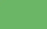 Краска для сколов во флаконе с кисточкой RENAULT, цвет 913 - LIGHT GREEN