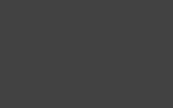 Краска для сколов во флаконе с кисточкой RENAULT, цвет BU0275 - GRIS