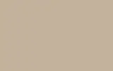 Краска для сколов во флаконе с кисточкой RENAULT, цвет 170 - BEIGE