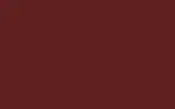 Краска для сколов во флаконе с кисточкой RENAULT, цвет 773 - ROUGE BRIQUE