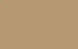 Краска для сколов во флаконе с кисточкой RENAULT, цвет 155 - SABLE/BEIGE ARENA
