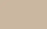 Краска для сколов во флаконе с кисточкой RENAULT, цвет 159 - GREGE/BEIGE