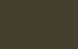 Краска для сколов во флаконе с кисточкой RENAULT TRUCKS, цвет R917 - VERT ARMEE HOLLANDAISE RAL6014
