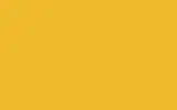 Краска для сколов во флаконе с кисточкой RENAULT TRUCKS, цвет - MAZDA SPACE YELLOW