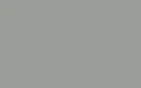 Автомобильная краска RENAULT TRUCKS, цвет 1665 - GRIS