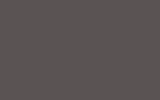Автомобильная краска RENAULT TRUCKS, цвет 2695 - GRIS