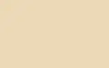 Аэрозольная краска RENAULT TRUCKS, цвет 1115 - BEIGE