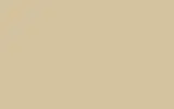 Аэрозольная краска RENAULT TRUCKS, цвет 1101 - BEIGE