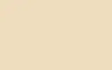 Краска для сколов во флаконе с кисточкой RENAULT, цвет 144 - BEIGE