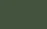 Краска для сколов во флаконе с кисточкой RENAULT, цвет 947-972 - VERDE