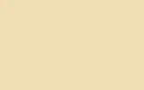 Краска для сколов во флаконе с кисточкой RENAULT TRUCKS, цвет 2103 - BEIGE