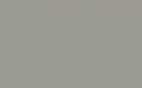 Краска для сколов во флаконе с кисточкой RENAULT TRUCKS, цвет 600 - GRIS