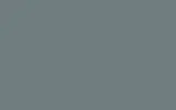 Краска для сколов во флаконе с кисточкой RENAULT TRUCKS, цвет 666 - GRIS