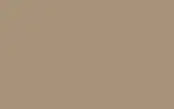Краска для сколов во флаконе с кисточкой RENAULT, цвет A10 - BEIGE