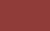 Краска для сколов во флаконе с кисточкой RENAULT, цвет BU0329 - ROUGE CORAIL