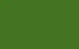 Краска для сколов во флаконе с кисточкой RENAULT TRUCKS, цвет - MAYNELL GREEN