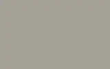 Краска для сколов во флаконе с кисточкой RENAULT, цвет A61 - GRIS