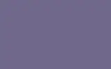Краска для сколов во флаконе с кисточкой RENAULT TRUCKS, цвет 8465 - VIOLET