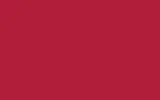 Краска для сколов во флаконе с кисточкой RENAULT TRUCKS, цвет 4751 - ROUGE