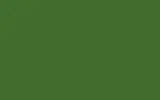 Краска для сколов во флаконе с кисточкой RENAULT TRUCKS, цвет - IRISCH GREEN