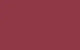 Краска для сколов во флаконе с кисточкой RENAULT TRUCKS, цвет - RED VIOLET