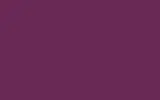 Краска для сколов во флаконе с кисточкой RENAULT TRUCKS, цвет - AMARI PURPLE