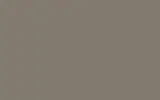 Краска для сколов во флаконе с кисточкой RENAULT TRUCKS, цвет - CRUCIAL TRADING TAUPE