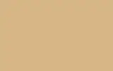 Краска для сколов во флаконе с кисточкой RENAULT TRUCKS, цвет - RAL 1001 BEIGE