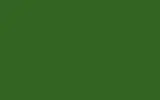 Краска для сколов во флаконе с кисточкой RENAULT TRUCKS, цвет - W8468 GREEN